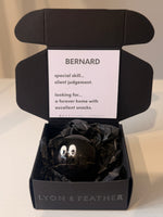 Pocket Protector Bernard | Crystal Pocket Companion