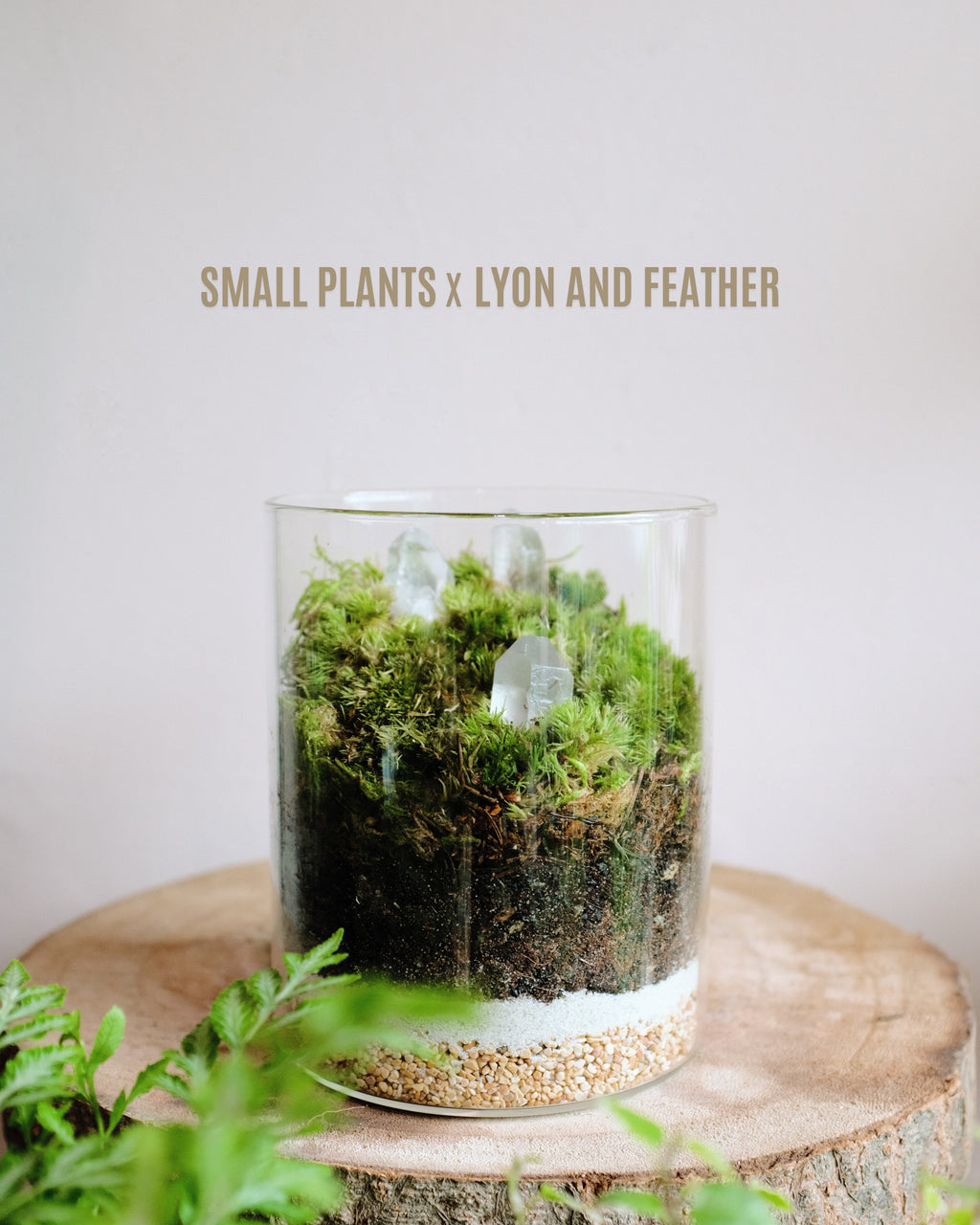 Crystal Terrarium Workshop